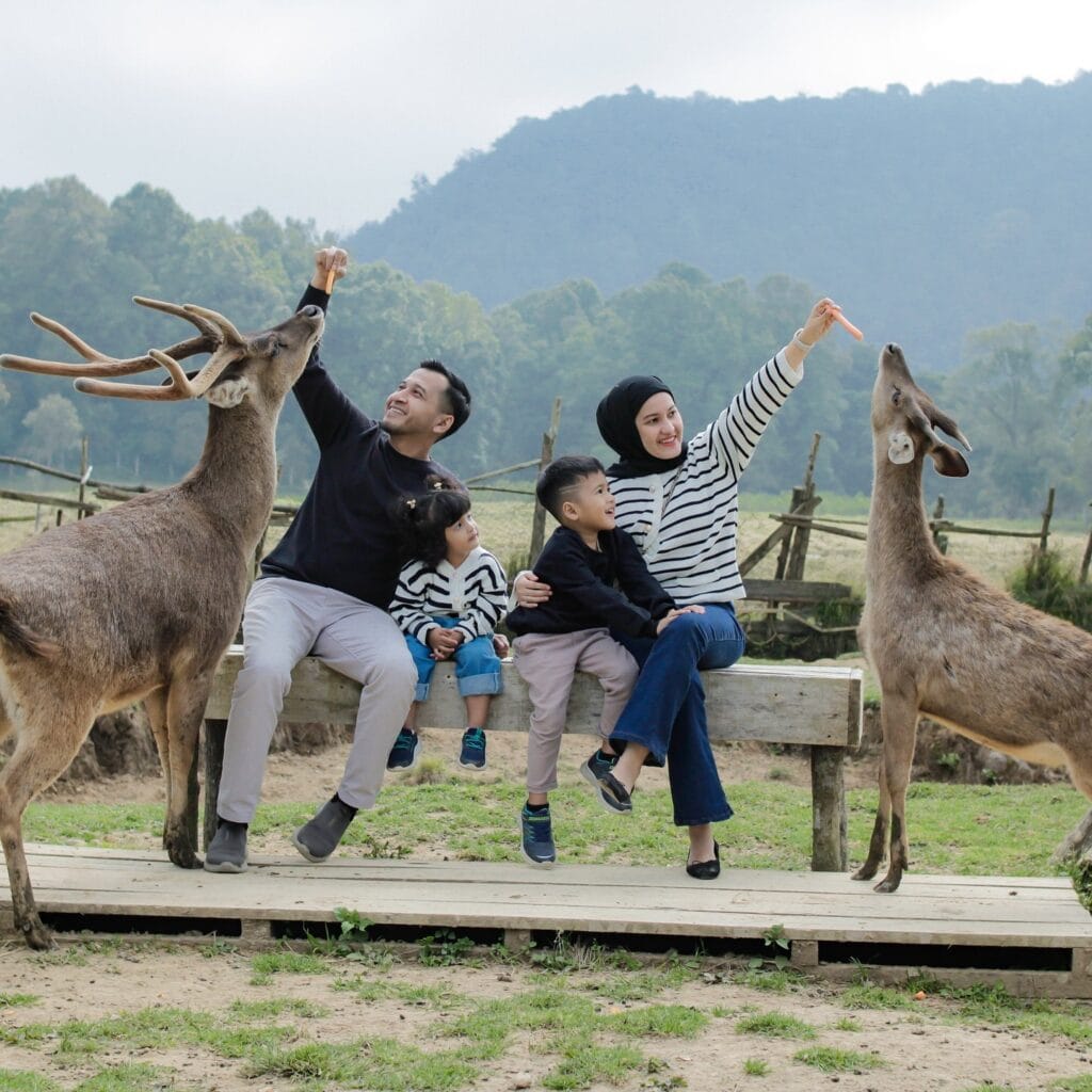 Salah satu Tempat Wisata di Bandung, Ranca Upas